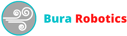 Bura